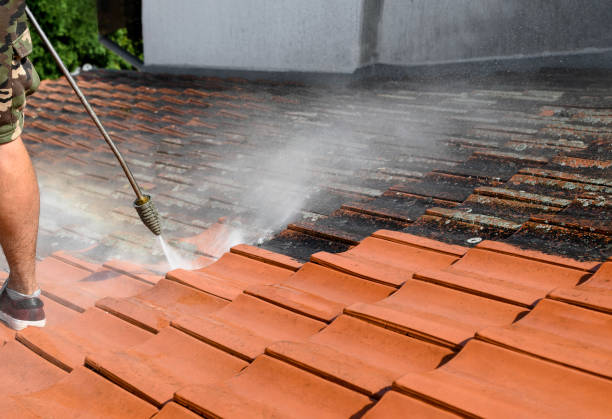 Best Affordable Power Washing  in Hazen, ND